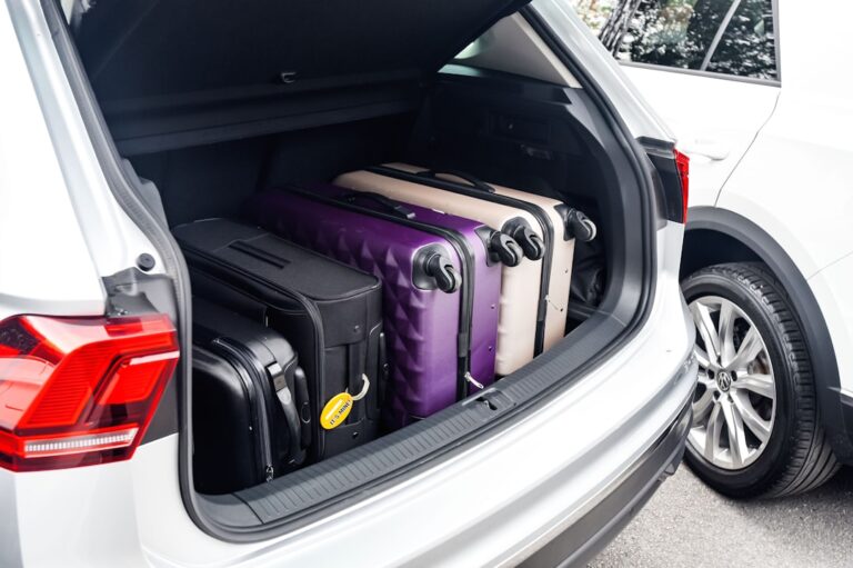Revisão Para Viagem: O Que Checar Antes de Ir Para Chapada dos Guimarães?